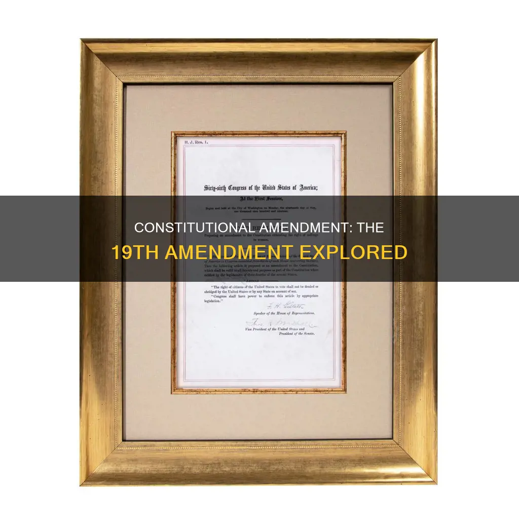 is the 19th amendment in the constitution