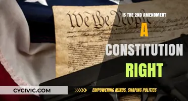 The Second Amendment: Constitutional Right or Outdated?