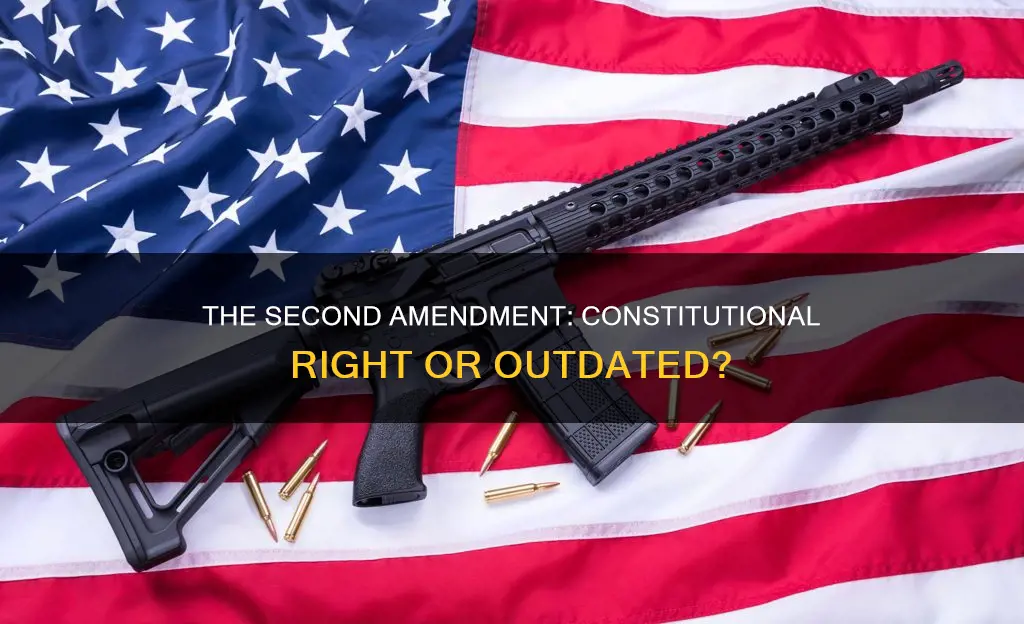 is the 2nd amendment a constitutional right
