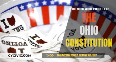 Voting Rights: Ohio Constitution and Its Protection