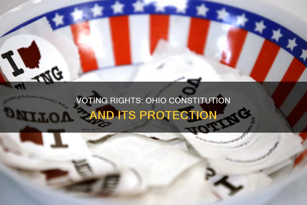 is the act of voting protected by the ohio constitution