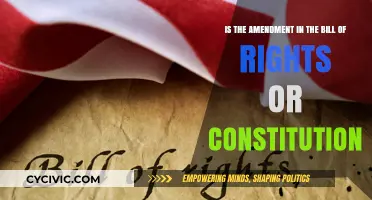 Amendments: Where Do They Belong?