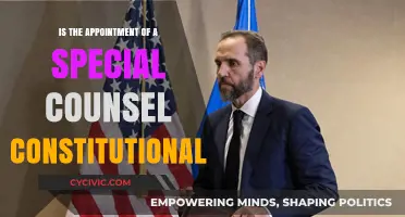 Special Counsel: Constitutional or Political?
