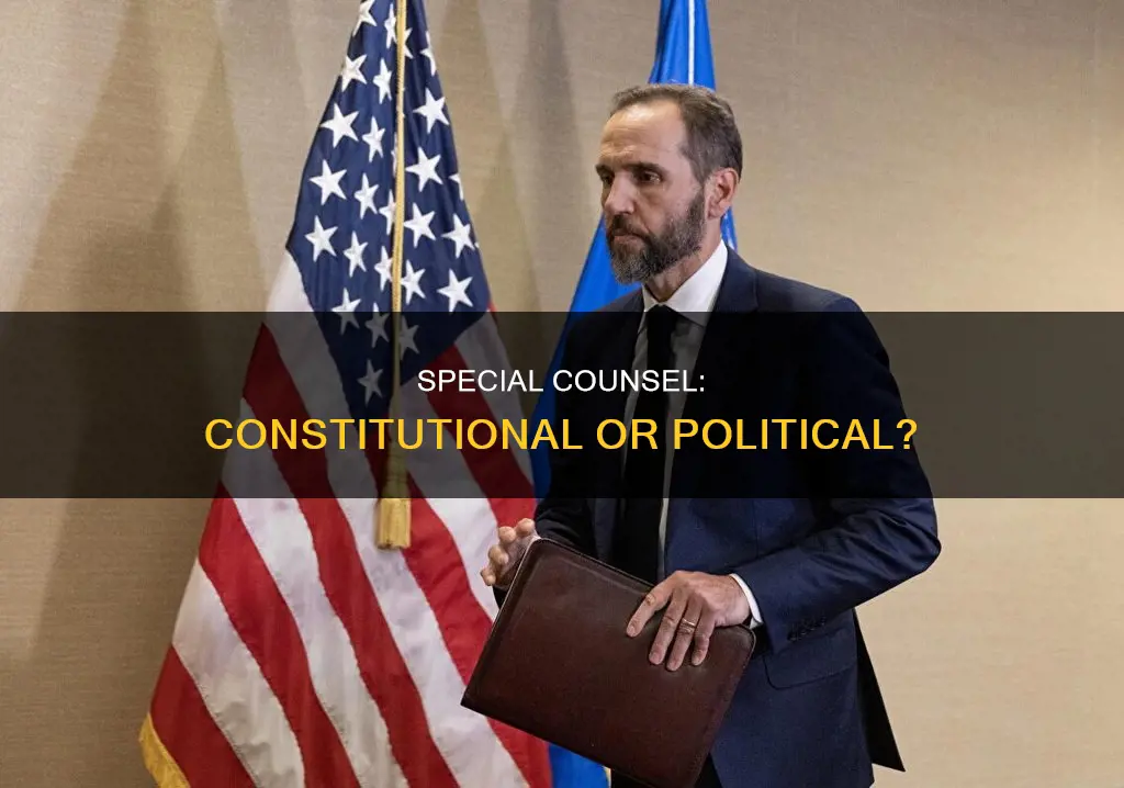 is the appointment of a special counsel constitutional