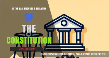 Bail Process: Unconstitutional Violation or Necessary Evil?