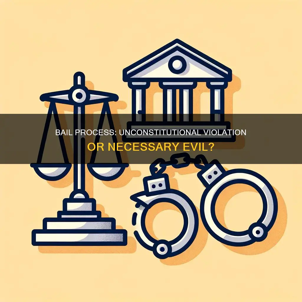 is the bail process a violation of the constitution