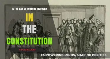 Torture Prohibition: Is It in the Constitution?