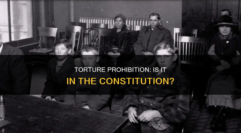 is the ban of torture included in the constitution