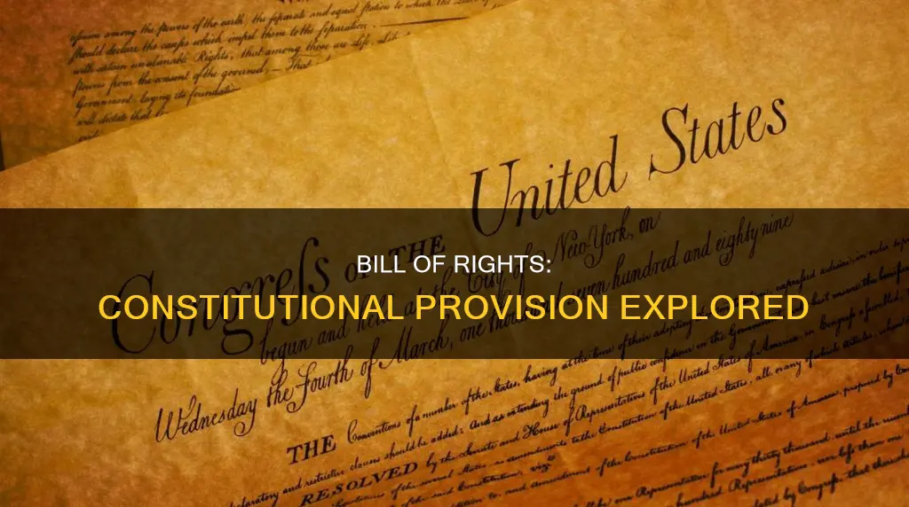is the bill of righes a provision to the constitution