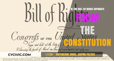Bill of Rights: A Constitutional Companion?