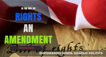 Bill of Rights: Amendments to the US Constitution