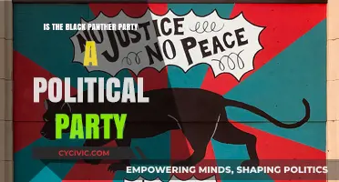 Was the Black Panther Party a Political Party? Unraveling Its Legacy