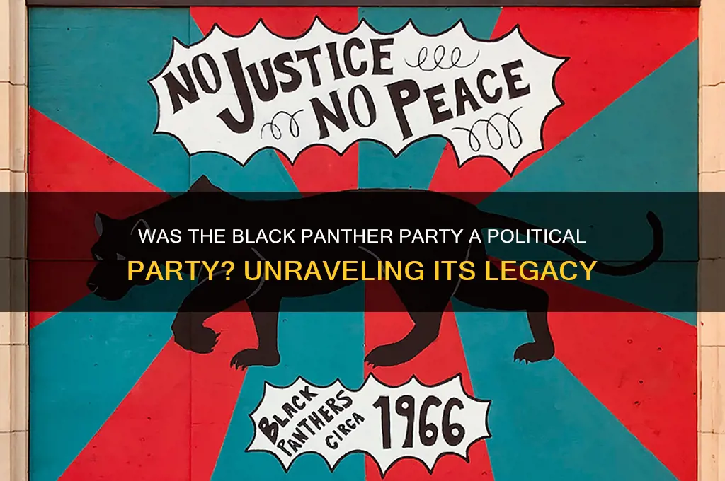 is the black panther party a political party