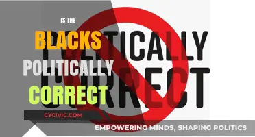 Exploring the Evolution of Political Correctness in Racial Discourse