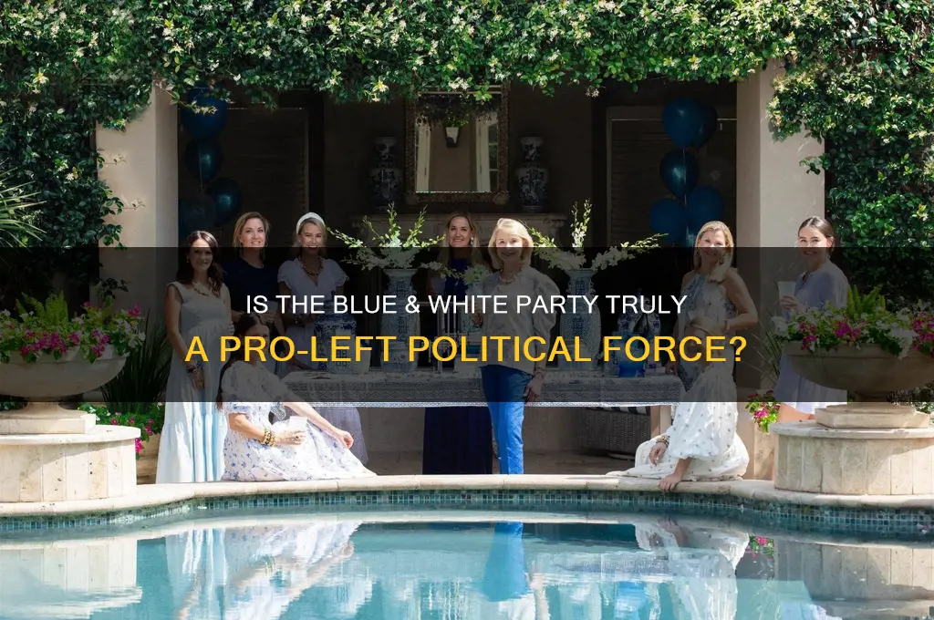 is the blue & white party a pro-left political party