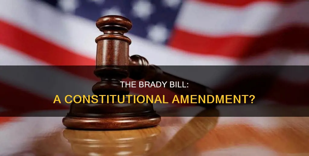 is the brady bill a constitutional amendment