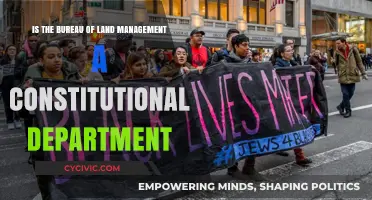 The Bureau of Land Management: Constitutional or Not?