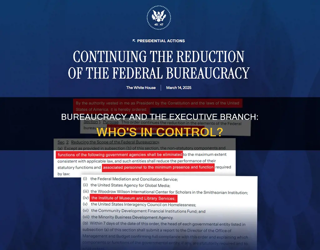 is the bureaucracy part of the executive branch