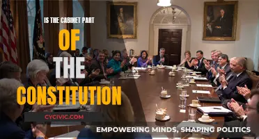 The Cabinet's Constitutional Role: Explained