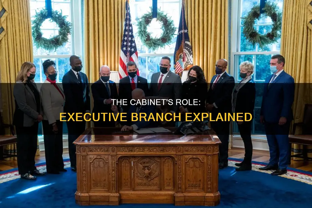 is the cabinet part of the executive branch