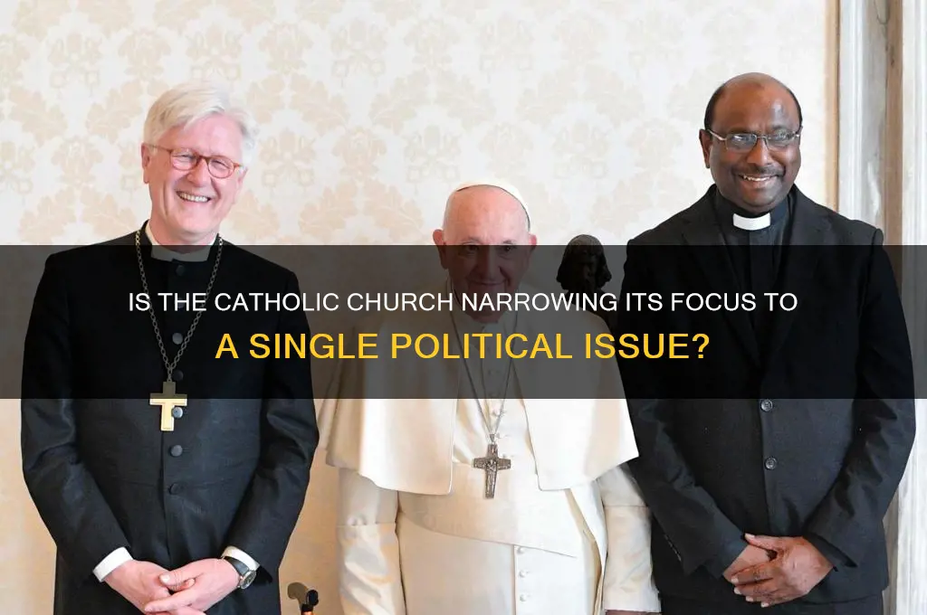 is the catholic church becoming a one issue political party