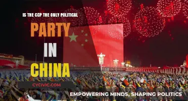Is China's CCP the Sole Political Party in Power?