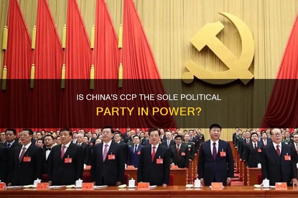 is the ccp the only political party in china