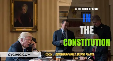 The Chief of Staff: A Constitutional Conundrum