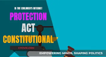 The Children's Internet Protection Act: Constitutional Controversy