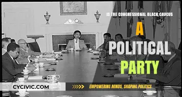 Is the Congressional Black Caucus a Political Party? Exploring Its Role