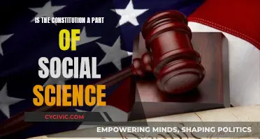 The Constitution's Place Within Social Sciences