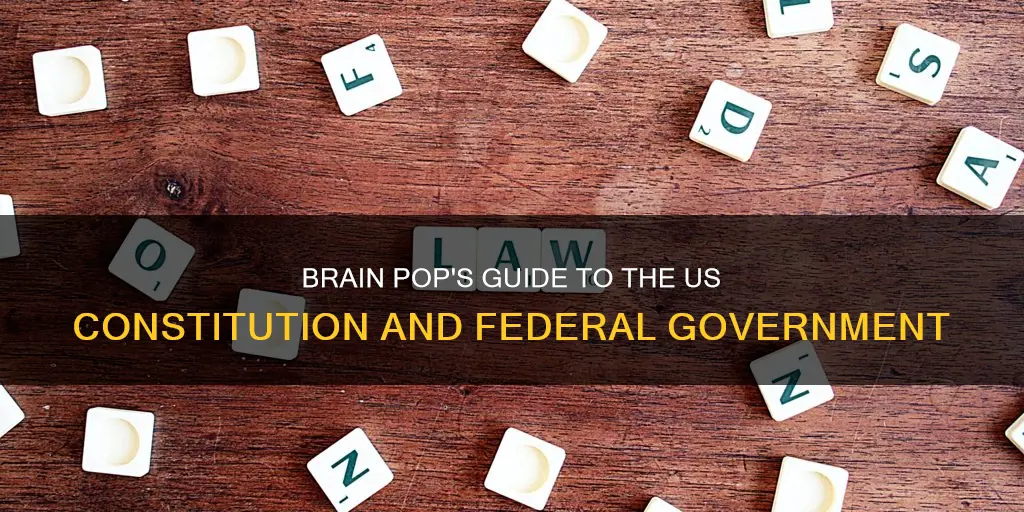 is the constitution and federal goverment on brain pop