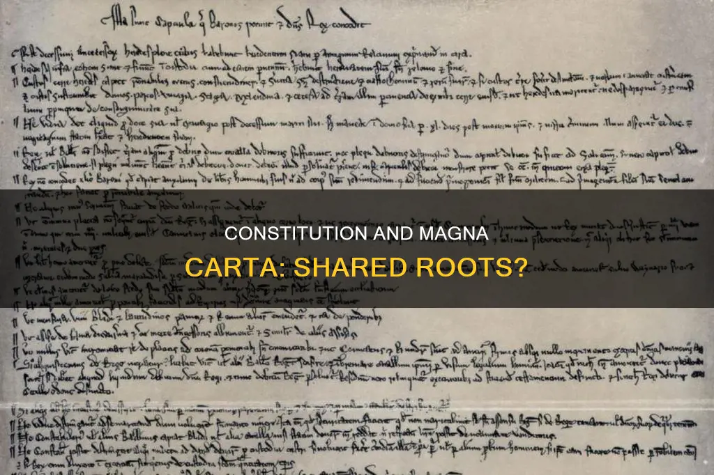 is the constitution based on the magna carta