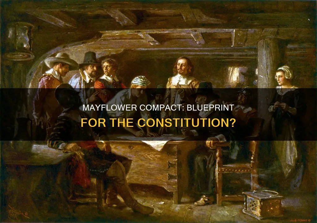 is the constitution based on the mayflower compact