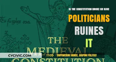 Constitution vs Politicians: Who Broke the System?