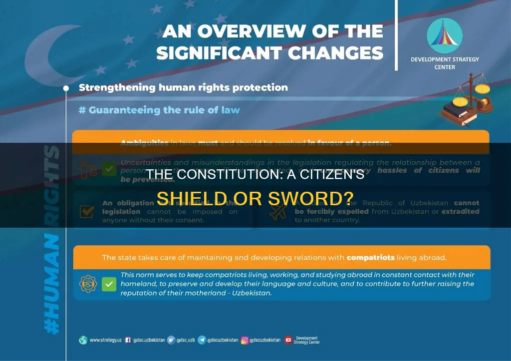 is the constitution meant to protect its citizens