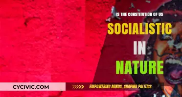 The Constitution: A Socialist Manifesto?