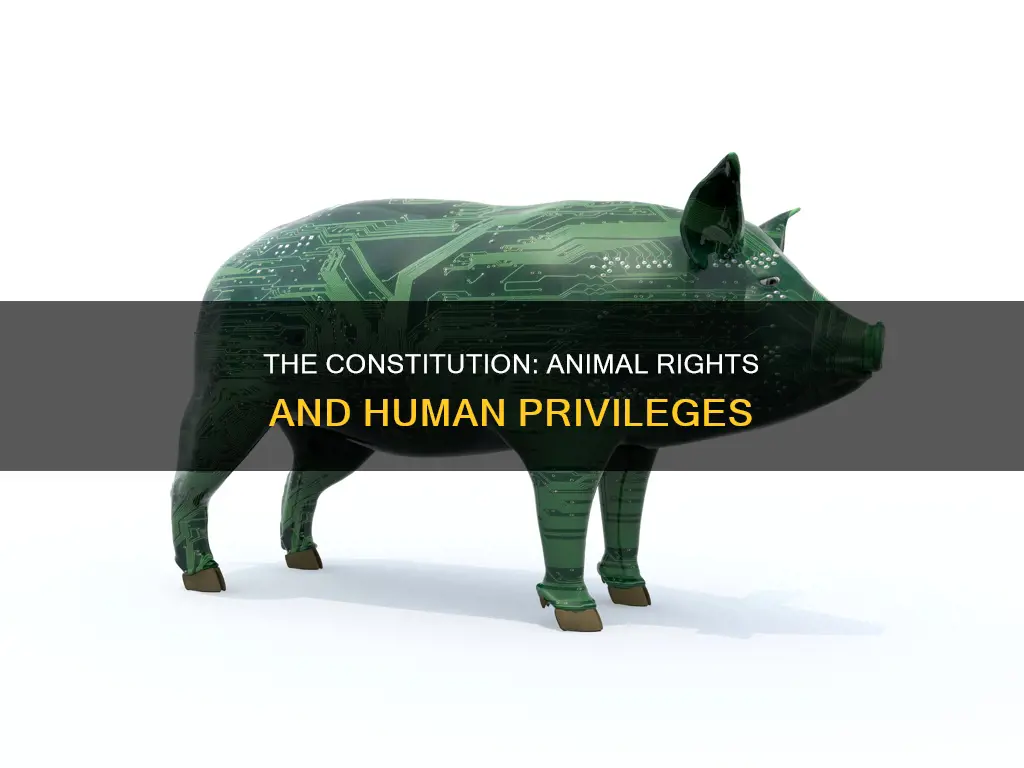 is the constitution only for humans or for animals too