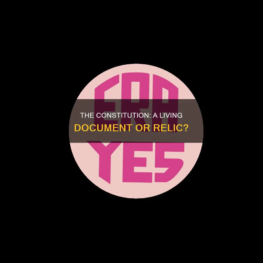 is the constitution referred to in the past tense