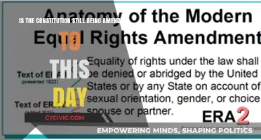 Amending the Constitution: An Ongoing Process?