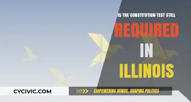 Illinois Constitution Test: Still a Requirement?
