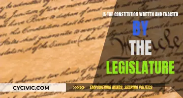 Who Writes the Laws? Constitution and Legislature