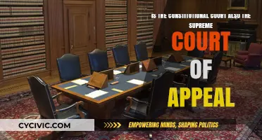The Highest Court: Constitutional and Supreme?