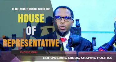 The Constitutional Court: Distinct from the House of Representatives