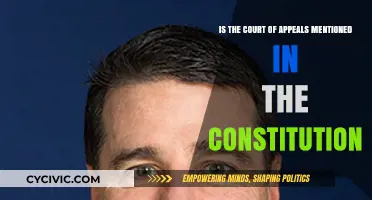 The Supreme Court: Appeals and the Constitution