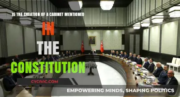 The Constitution and Cabinet Formation