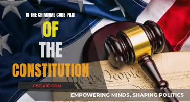 Criminal Code and Constitution: What's the Connection?