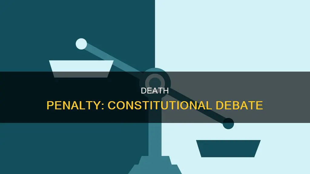 is the death penalty constitutional pros and cons