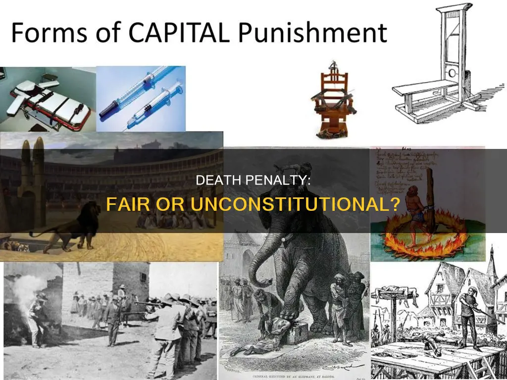 is the death penalty fair and constitutional philosophy essay