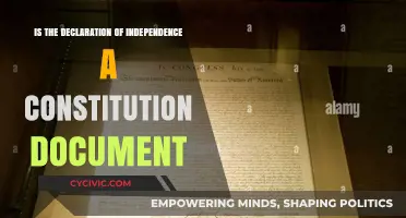 The Declaration: A Constitutional Precursor?